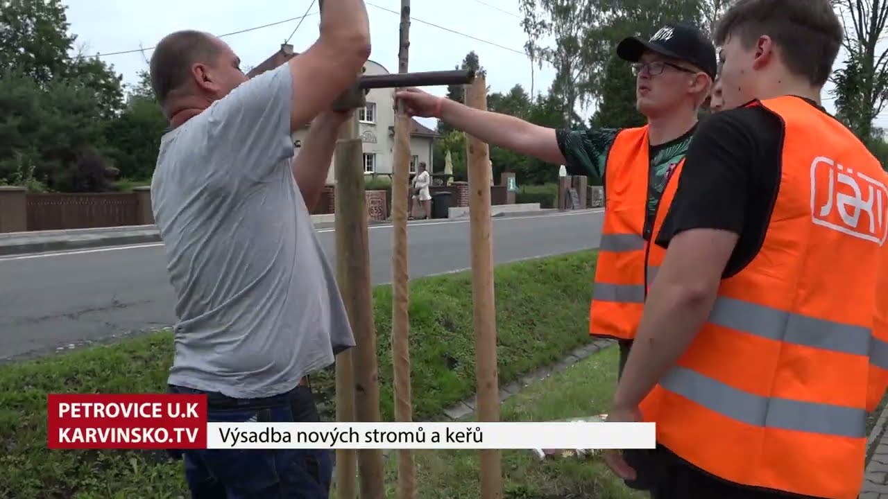 Výsadba nových stromů